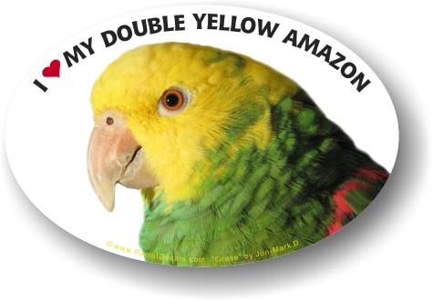 Double Yellow Headed Amazon Parrot Car Window Decal /Bumper Sticker