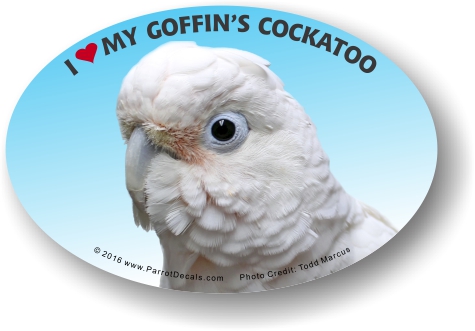 Goffin's Cockatoo Car Window Decal