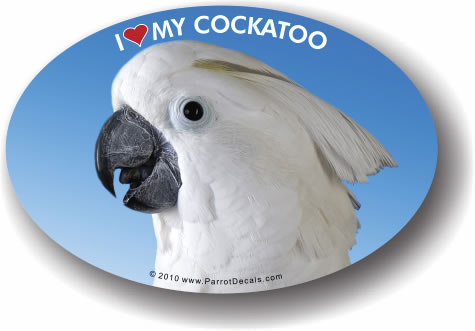Cockatoo Decal