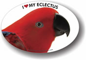 Eclectus Female Parrot Decal