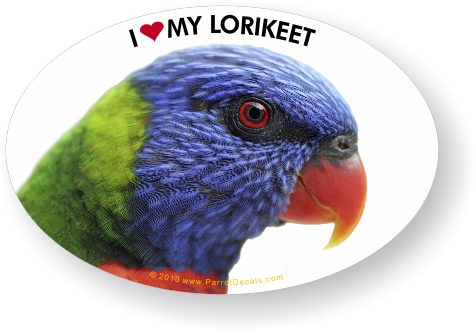 Lorikeet Rainbow parrot vinyl decal