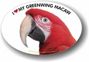 Greenwing Macaw Photo