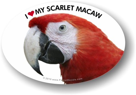Scarletmacaw parrot vinyl decal