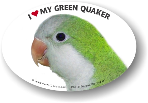 Green quaker vinyl car decal