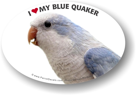 Blue quaker vinyl car decal