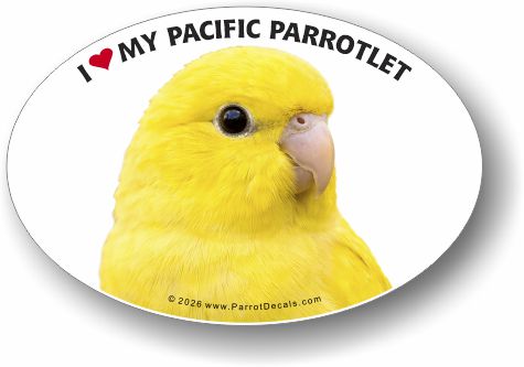 Yellow Pacific Parrotlet vinyl decal