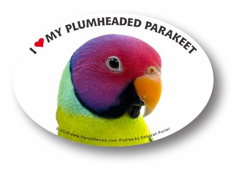 Plumheaded parakeet vinyl car window decal